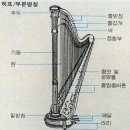 하프 이미지