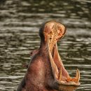 가람공원 이미지