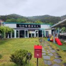다사랑손칼국수 이미지