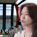 카-메이트