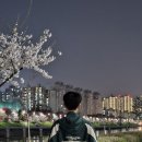 코지먼트 이미지