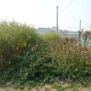 목화농원 이미지