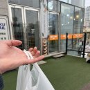 서영대학교 앞 이미지