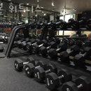 백본 휘트니스 이미지