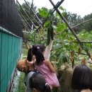 김윤희농장 이미지