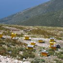 연남동 덤앤더머 카카오 검색결과