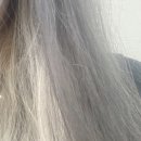 팔만상점 이미지