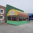 백산금빛캠프장 이미지