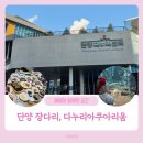 아쿠아리움 | 단양 아기랑 당일치기 코스 장다리식당 다누리아쿠아리움 수유실 후기