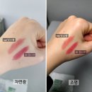 181 | [공지] 헤라 루즈 클래시 립스틱 108 핑크참 &amp; 181 클리셰 솔직 발색 후기