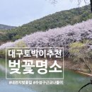 대구 벚꽃 명소 개화시기 현지인 추천 산책코스 내관지 위치 주차