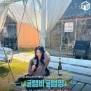 캠핑/글램핑 이미지