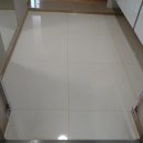 지엘리베리움 이미지