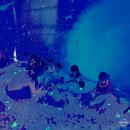 하늘빛초병설유치원 이미지