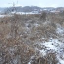 내판3리 마을회관 이미지