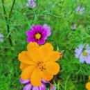 옥정1동 행정복지센터 이미지