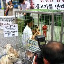 동물농장 - 양산시 양산역로 85 | 동물농장