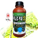 포항농약종묘사 네이버블로그
