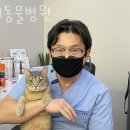 파랑새 동물병원 이미지