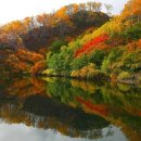 Lakeside in Autumn 이미지