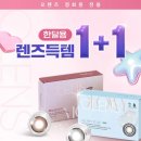 닐스 | 오렌즈 1+1 행사 정보 & 닐스 브라운 착용 후기 | 직경 큰 브라운 렌즈 추천