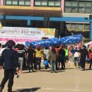 일산초등학교 이미지