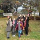 솔숲유원지 이미지