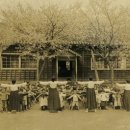 대자유치원 이미지