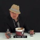 그레이트 서울 인베이전 시청후기