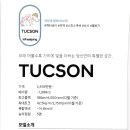 수목화 송정마을 오토캠핑장 이미지