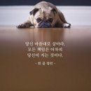 주식회사 위니아서비스 | 종목 탐방 -- 오전장 특징주