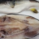 명품코다리 이미지