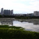 중앙배드민턴장 화장실 이미지