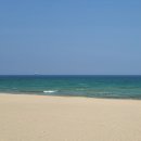 동해망상오토캠핑리조트 이미지