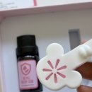 멍앤미 | 봄날이왔다. 강아지 진드기 퇴치제 <멍가드> 산책 필수템 후기