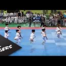 리틀태권도 이미지