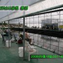 새미 낚시터 이미지