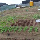 해복농장 이미지