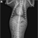 지한동물병원 이미지