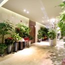 베니키아 리치다이아몬드호텔 이미지