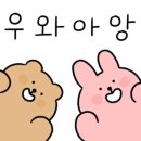 웰동물메디컬센터 이미지