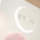 스텔라왁싱