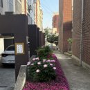 타미게스트하우스 | 광안리 나들이 2박 3일🫰🏻‪- ⌒⌒ㅣ여성게하 린린하우스 / 현지인 맛집 / 부산 카페투어 / 광안리 소품샵