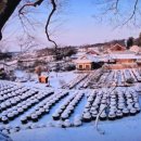 명재목장 이미지