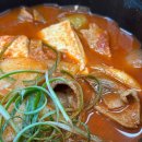 채채앤로로민박 | 로로의일주일_250519-250525_새 반지라니, 미쨩이 한국에 왔어요, 올리브영페스타 다녀오기, 성심당...