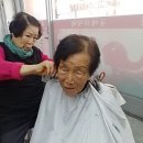 금발미장원 - 군산시 | 금발미장원