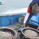 고파도리 해수욕장 이미지