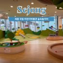 세종 국립어린이 박물관 9개월 아기와 함께 숲속놀이터 이용 후기