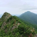 제261차 정기산행 영동 백화산,월류봉 산행 .26년5월24일(일).06시00분 이미지