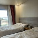 호텔와이(호텔Y) | Y리조트 /와이리조트제주/제주와이리조트 산방산호텔